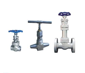 Gate Valve